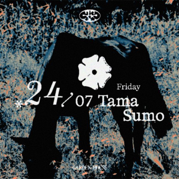 Garden House presents Tama Sumo | Garden House