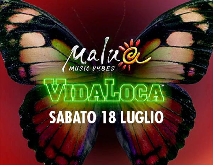 Vidaloca   Malua54