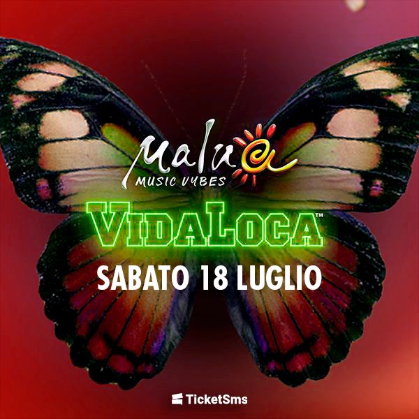 Vidaloca | Malua54