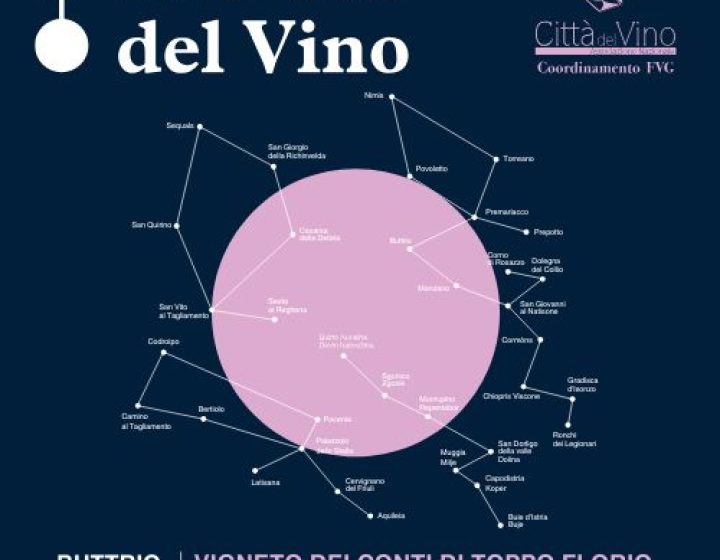 Le Notti Del Vino   Villa di Toppo - Florio
