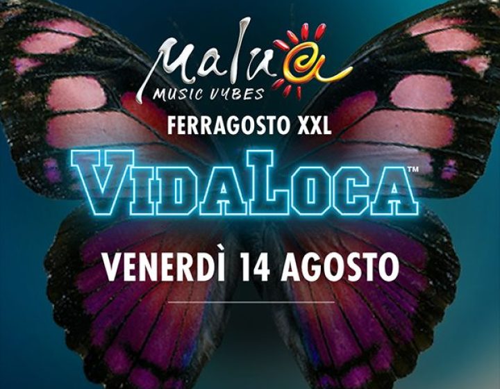 Vidaloca Ferragosto XXL Malua54