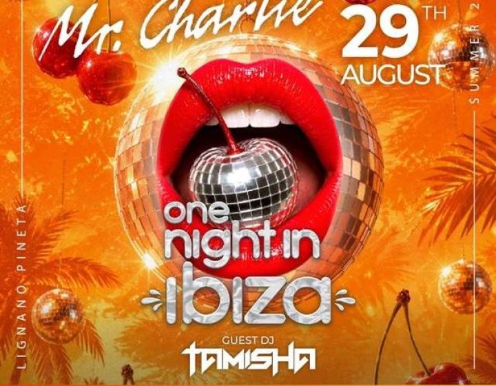 One Night in Ibiza MrCharlie