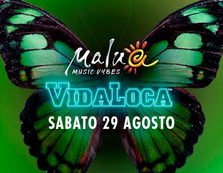 Vidaloca Malua54
