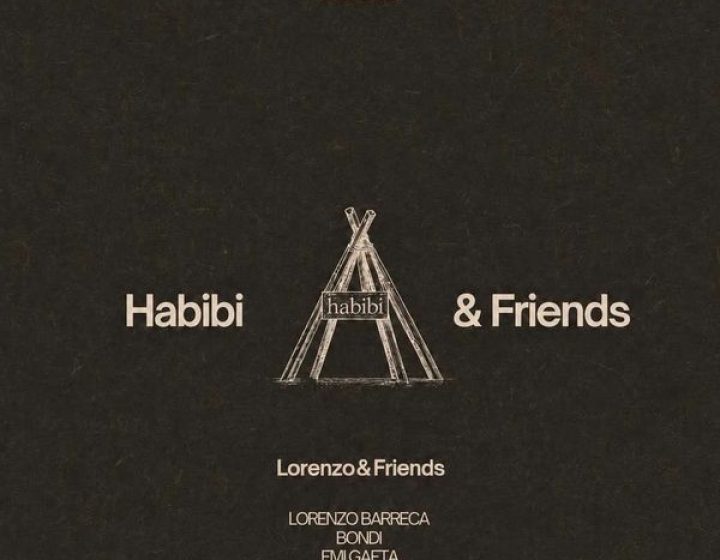 Habibi and Friends   Habibi