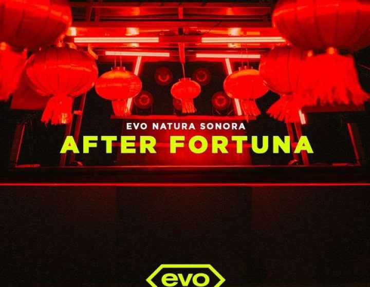 After Fortuna x Evo w/D-Leria pres. Kongas / Ambra / Hiver   EVO - Natura Sonora