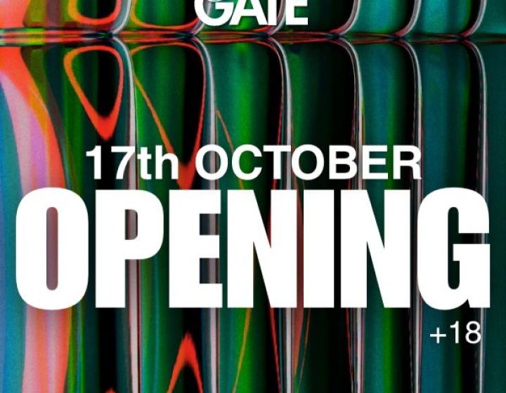 Opening   Gate Disco Club