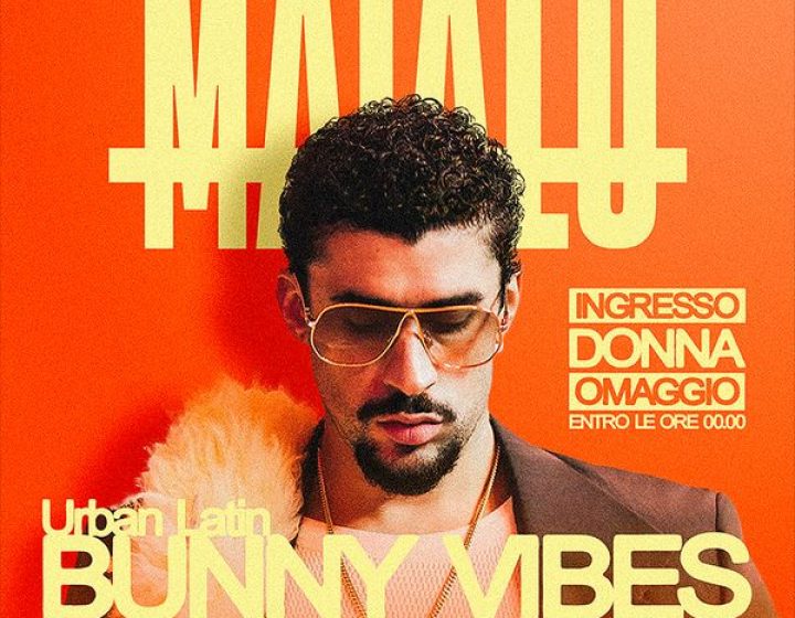 Matalo - Bunny Vibes   Live Club