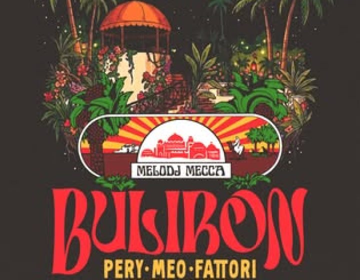 Mi bolle il sangue nel Buliron   Energy Disco