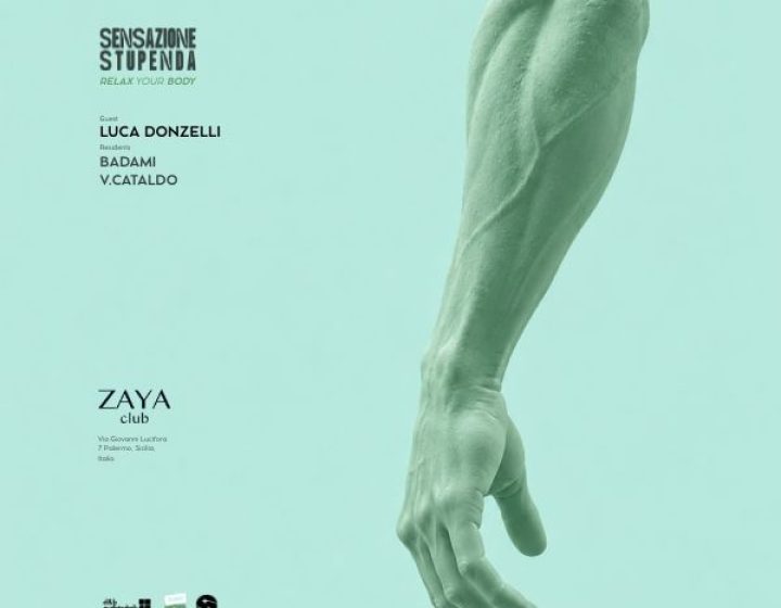 Luca Donzelli- Sensazione Stupenda   Zaya Club