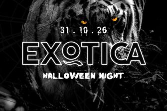 Exotica Halloween Night | Redas